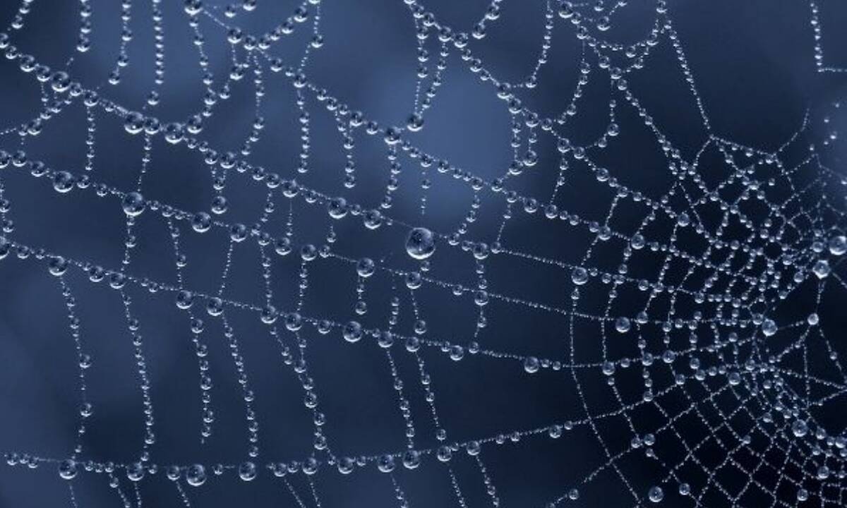 Σήμερα 28/04: Στήσε τον ιστό σου