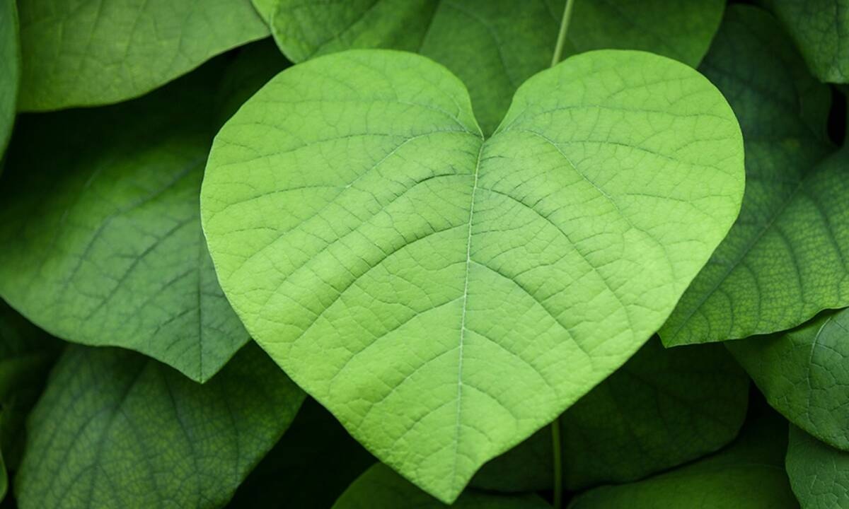 Προβλέψεις για τα αισθηματικά του ζωδίου σου, σήμερα 22/04