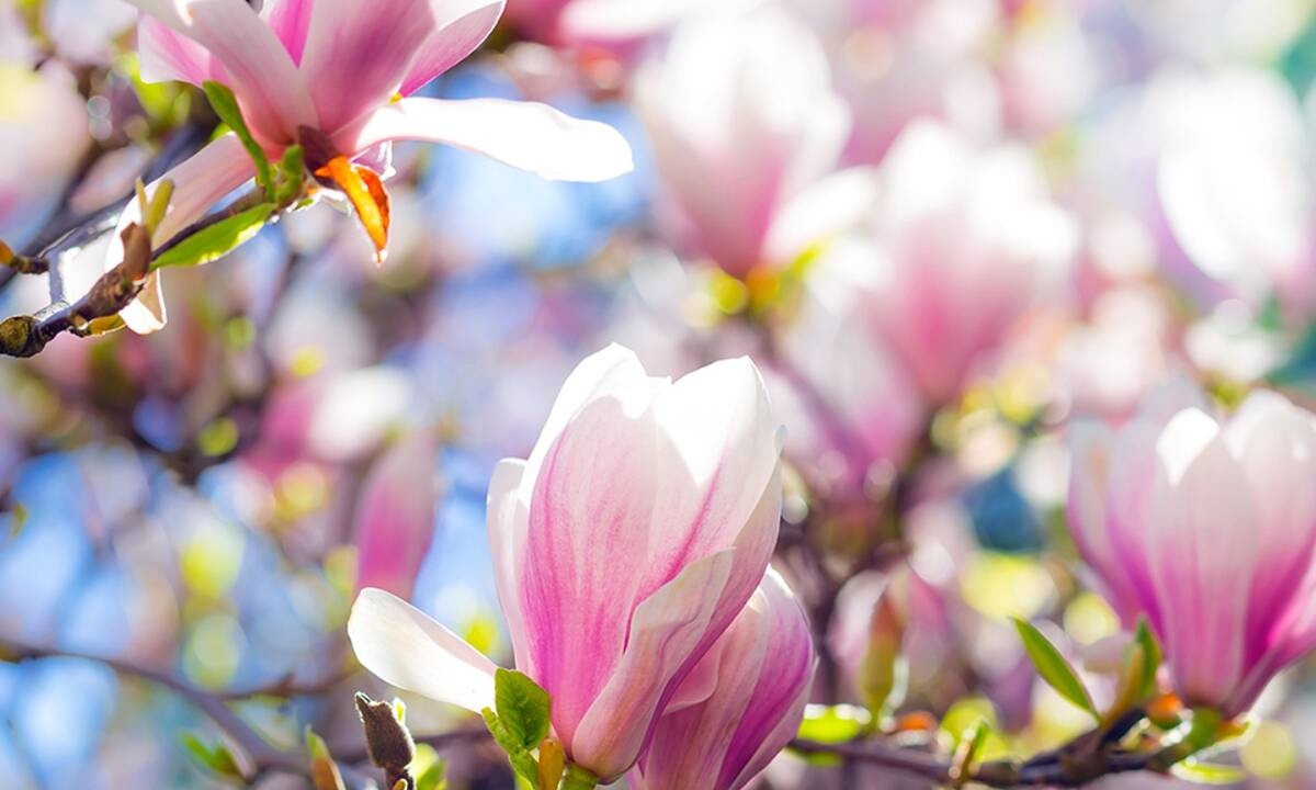 Διάβασε ΔΩΡΕΑΝ την προσωπική σου πρόβλεψη, για σήμερα 24/04/2021