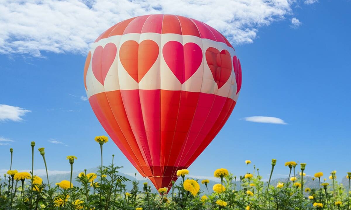 Προβλέψεις για τα αισθηματικά του ζωδίου σου, σήμερα 24/04