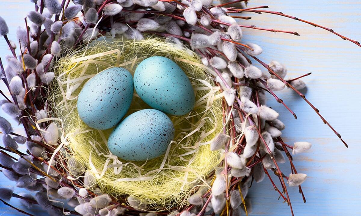 Ημερήσιες Προβλέψεις για όλα τα Ζώδια 30/04