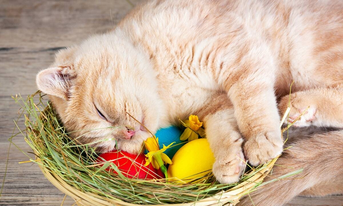 Διάβασε ΔΩΡΕΑΝ την προσωπική σου πρόβλεψη, για σήμερα 29/04/2021