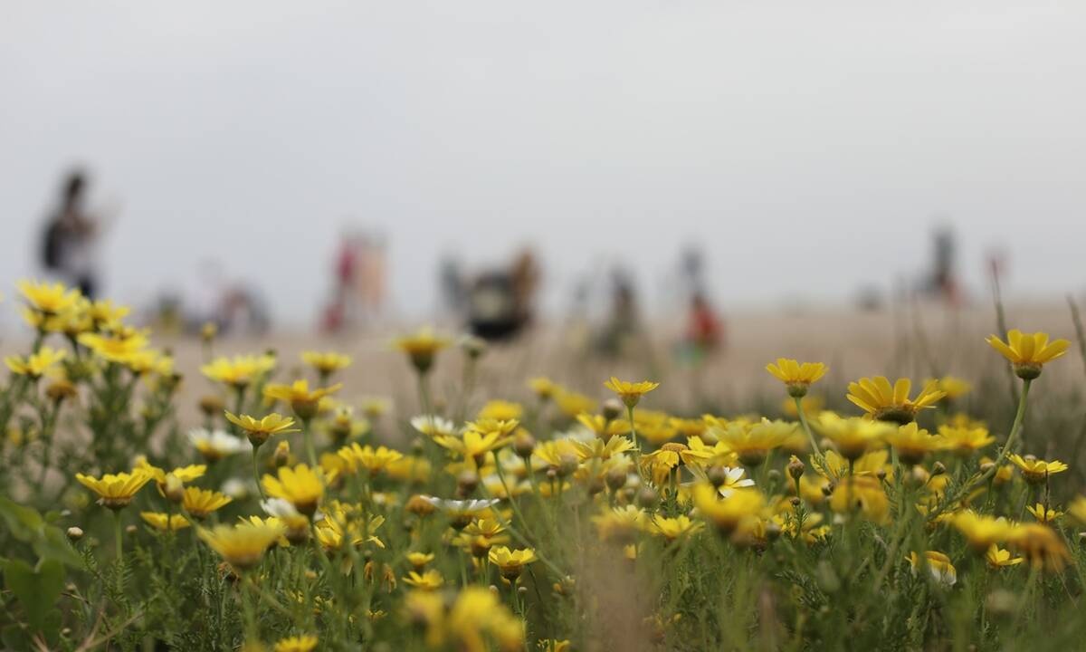 Καιρός Πάσχα: Συννεφιά, υψηλές θερμοκρασίες και πολλή σκόνη - Πού θα δείξει 39 βαθμούς το θερμόμετρο
