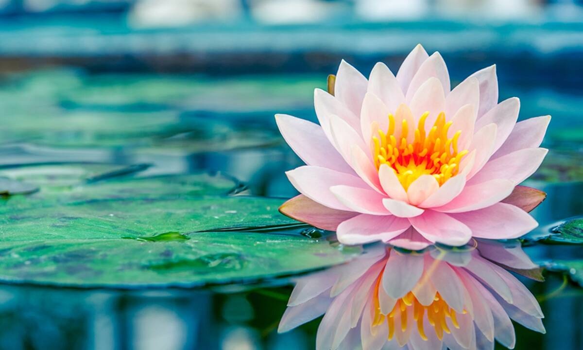 Διάβασε ΔΩΡΕΑΝ την προσωπική σου πρόβλεψη, για σήμερα 09/05/2021