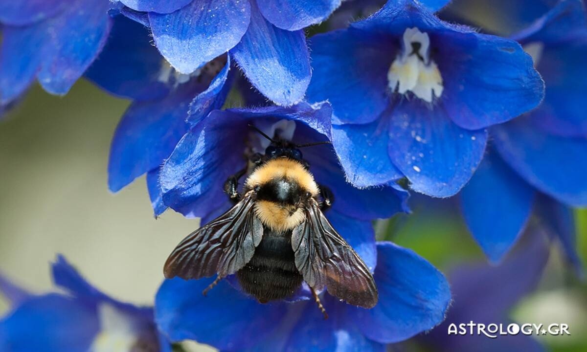 Διάβασε ΔΩΡΕΑΝ την προσωπική σου πρόβλεψη, για σήμερα 10/05/2021