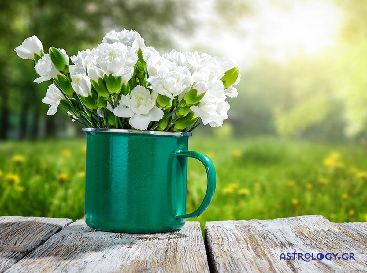 Ημερήσιες Προβλέψεις για όλα τα Ζώδια 15/05