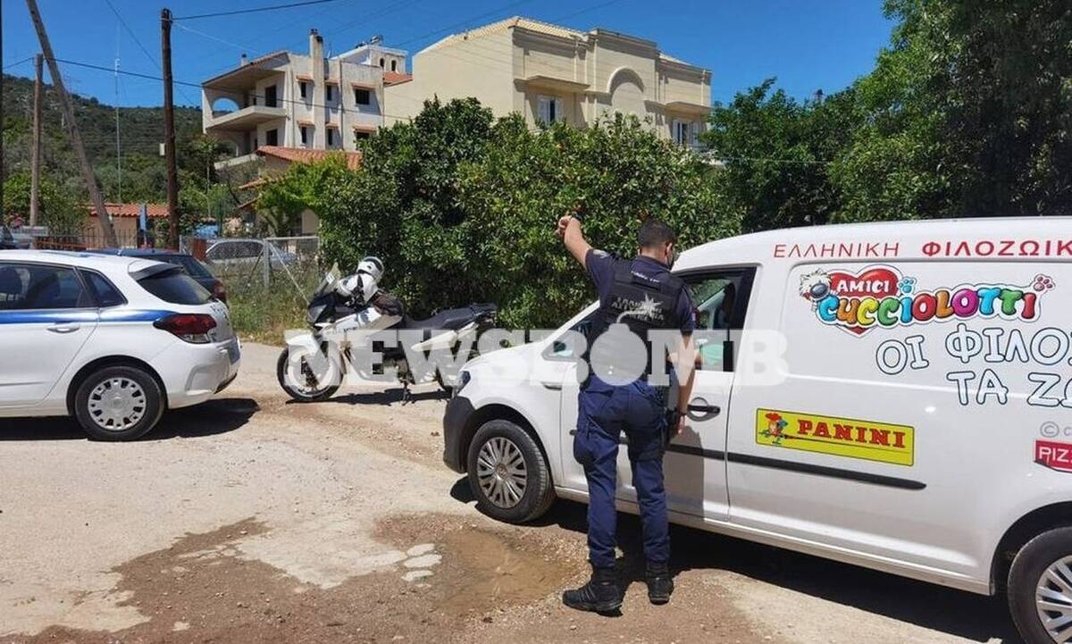 Δολοφονία Γλυκά Νερά: Τα πρώτα video μετά το φονικό - Ασθενοφόρο, σειρήνες και περιπολικά