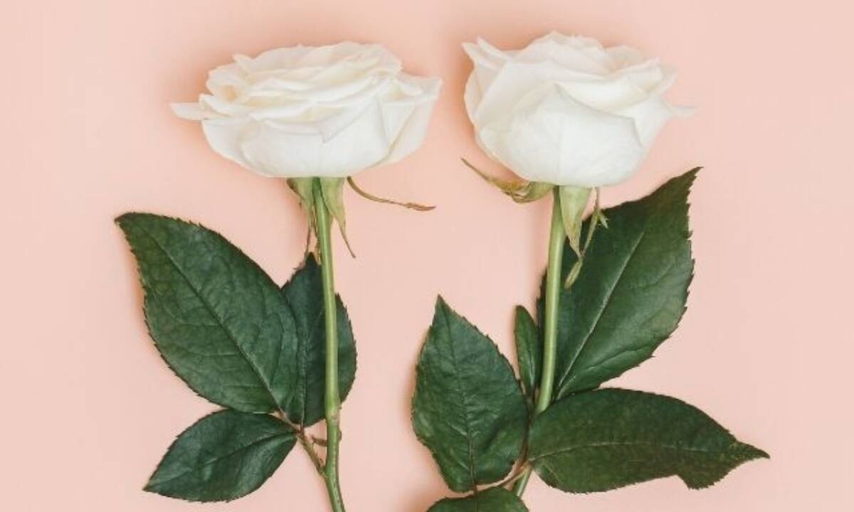 Σήμερα 19/05: Λίγα και καλά