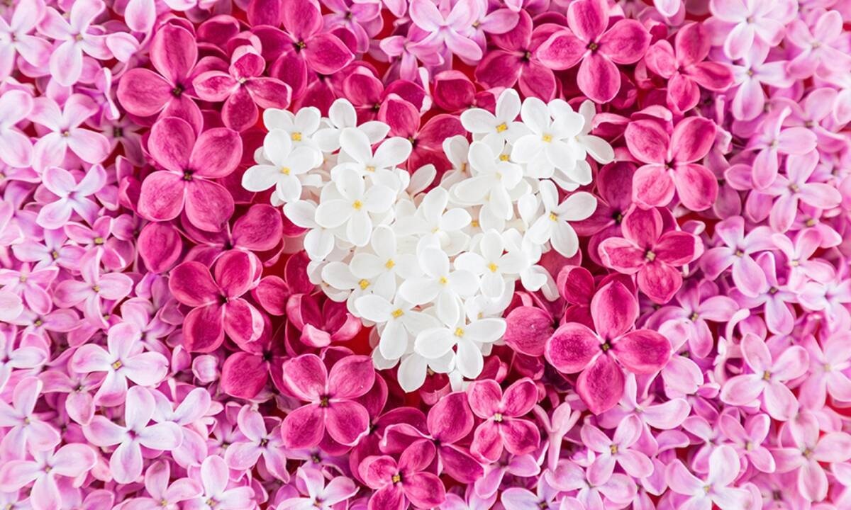 Προβλέψεις για τα αισθηματικά του ζωδίου σου, σήμερα 17/05