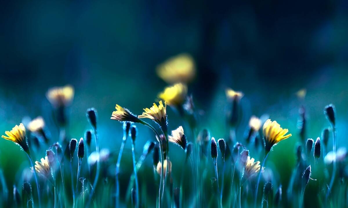 Διάβασε ΔΩΡΕΑΝ την προσωπική σου πρόβλεψη, για σήμερα 19/05/2021