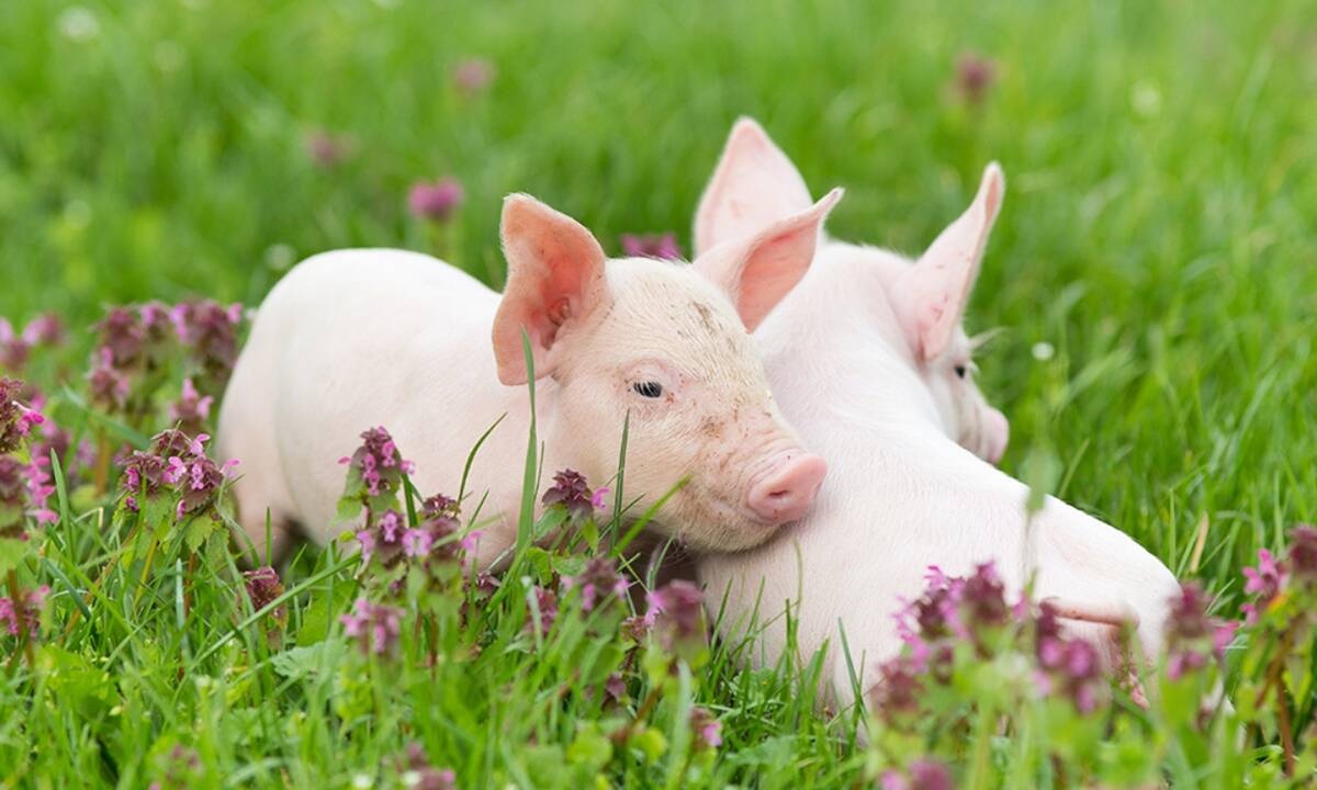 Διάβασε ΔΩΡΕΑΝ την προσωπική σου πρόβλεψη, για σήμερα 20/05/2021