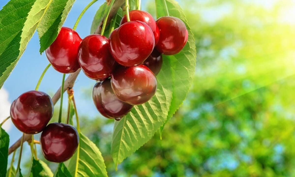 Διάβασε ΔΩΡΕΑΝ την προσωπική σου πρόβλεψη, για σήμερα 21/05/2021