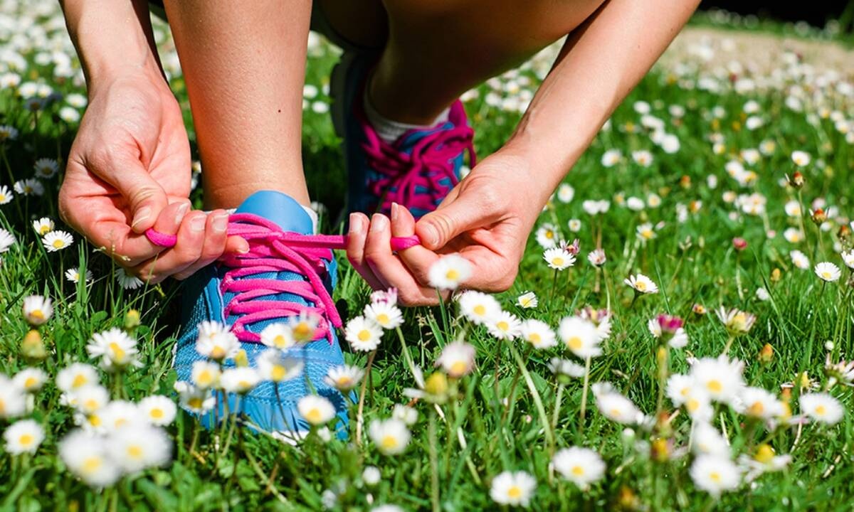 Ημερήσιες Προβλέψεις για όλα τα Ζώδια 24/05