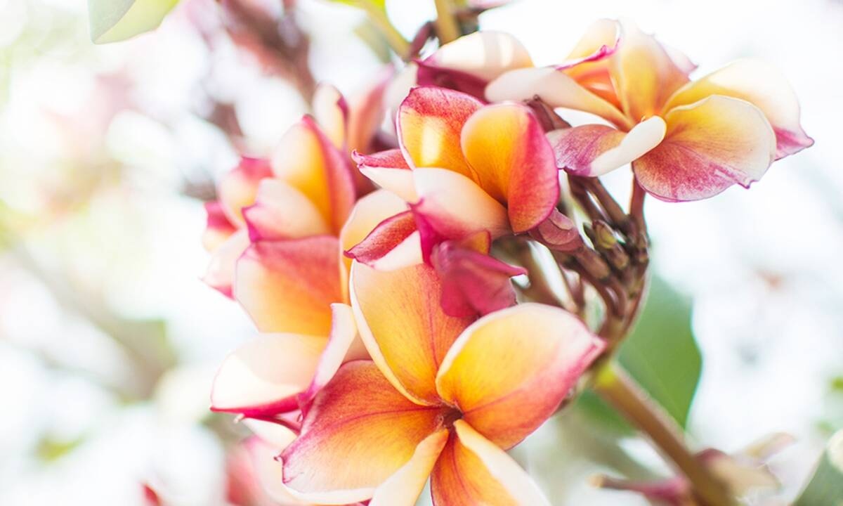 Διάβασε ΔΩΡΕΑΝ την προσωπική σου πρόβλεψη, για σήμερα 25/05/2021