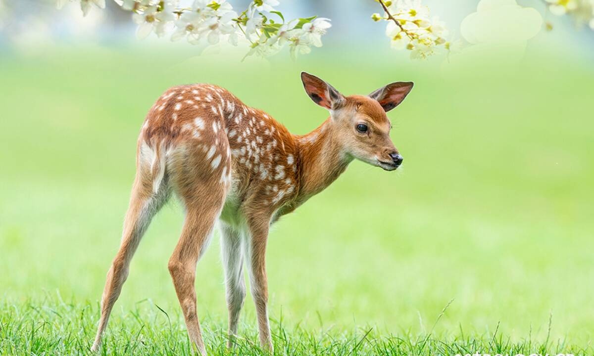 Διάβασε ΔΩΡΕΑΝ την προσωπική σου πρόβλεψη, για σήμερα 28/05/2021