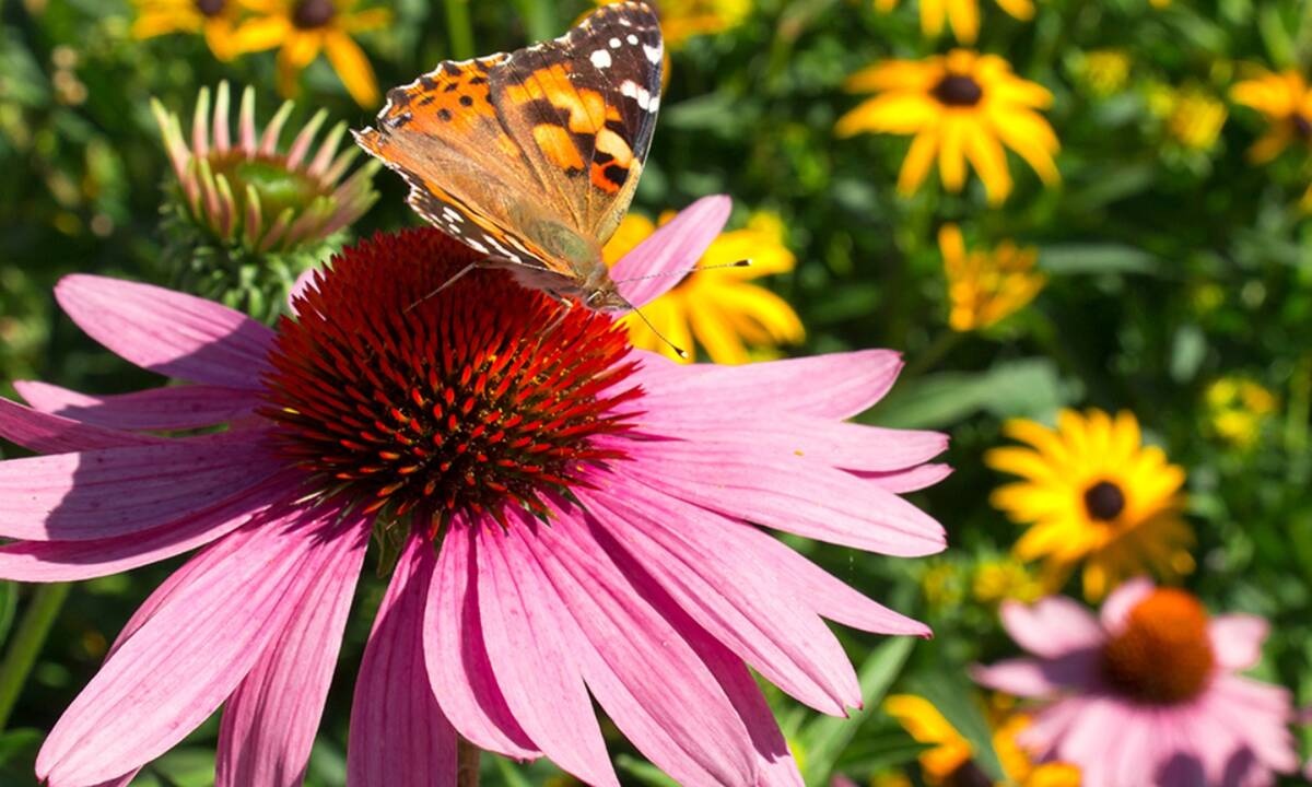 Διάβασε ΔΩΡΕΑΝ την προσωπική σου πρόβλεψη, για σήμερα 30/05/2021