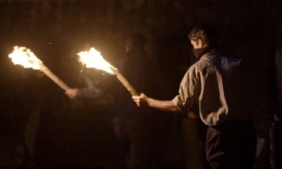 Άγριες Μέλισσες: Νεκροφόρες στο Διαφάνι