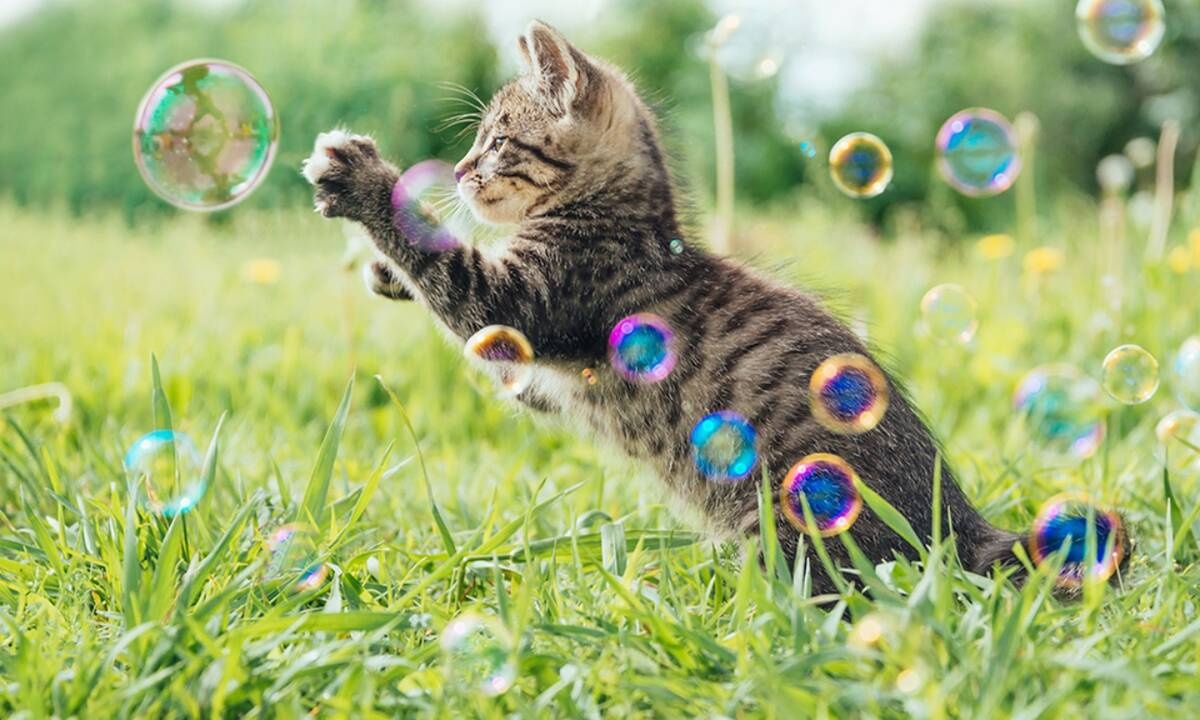 Διάβασε ΔΩΡΕΑΝ την προσωπική σου πρόβλεψη, για σήμερα 02/06/2021