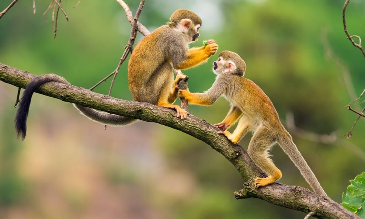 Διάβασε ΔΩΡΕΑΝ την προσωπική σου πρόβλεψη, για σήμερα 04/06/2021