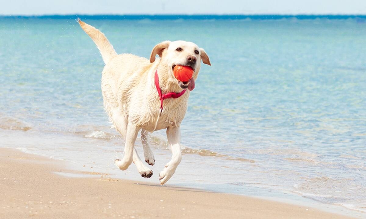 Διάβασε ΔΩΡΕΑΝ την προσωπική σου πρόβλεψη, για σήμερα 06/06/2021