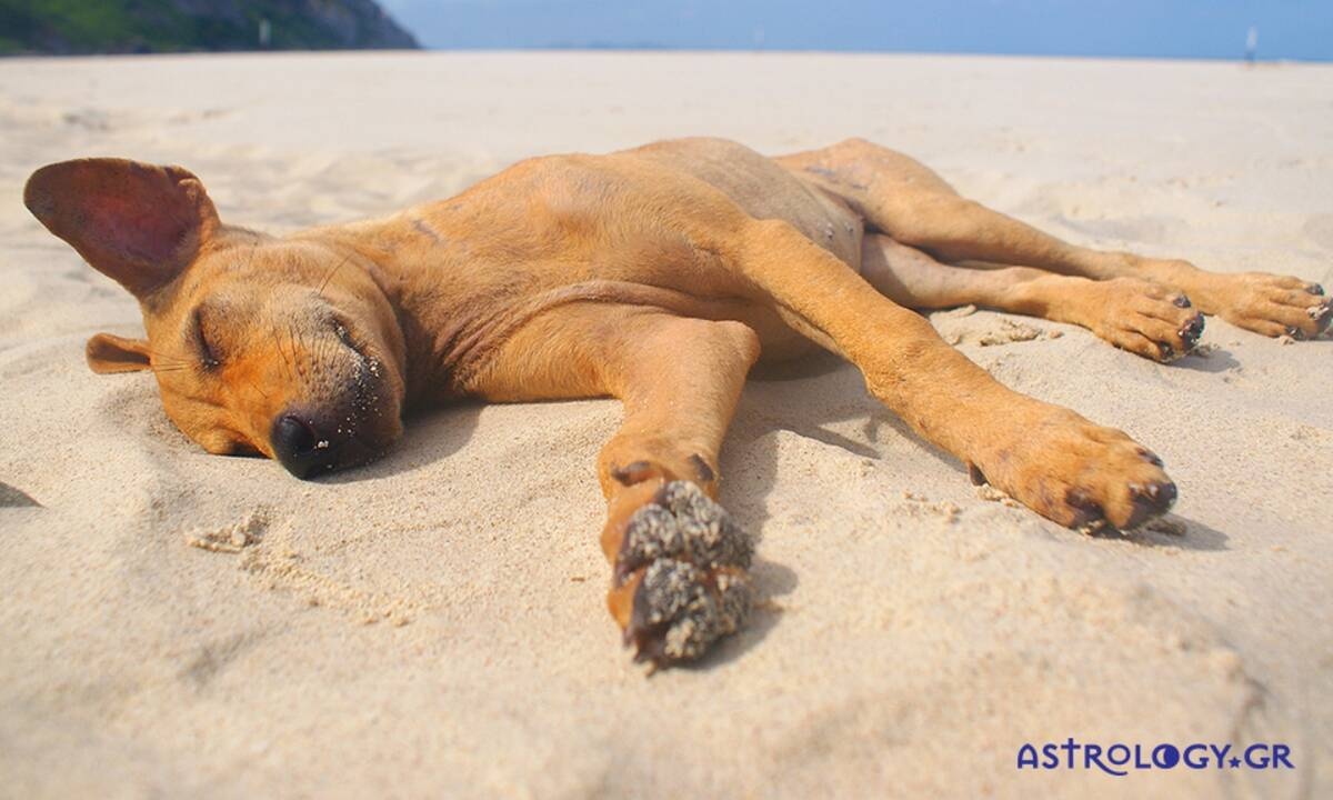 Διάβασε ΔΩΡΕΑΝ την προσωπική σου πρόβλεψη, για σήμερα 14/06/2021