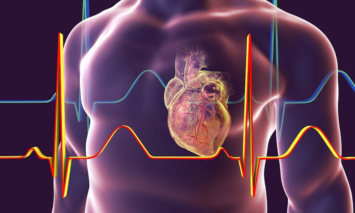 Μυοκαρδίτιδα: Με ποια συμπτώματα εκδηλώνεται (εικόνες)