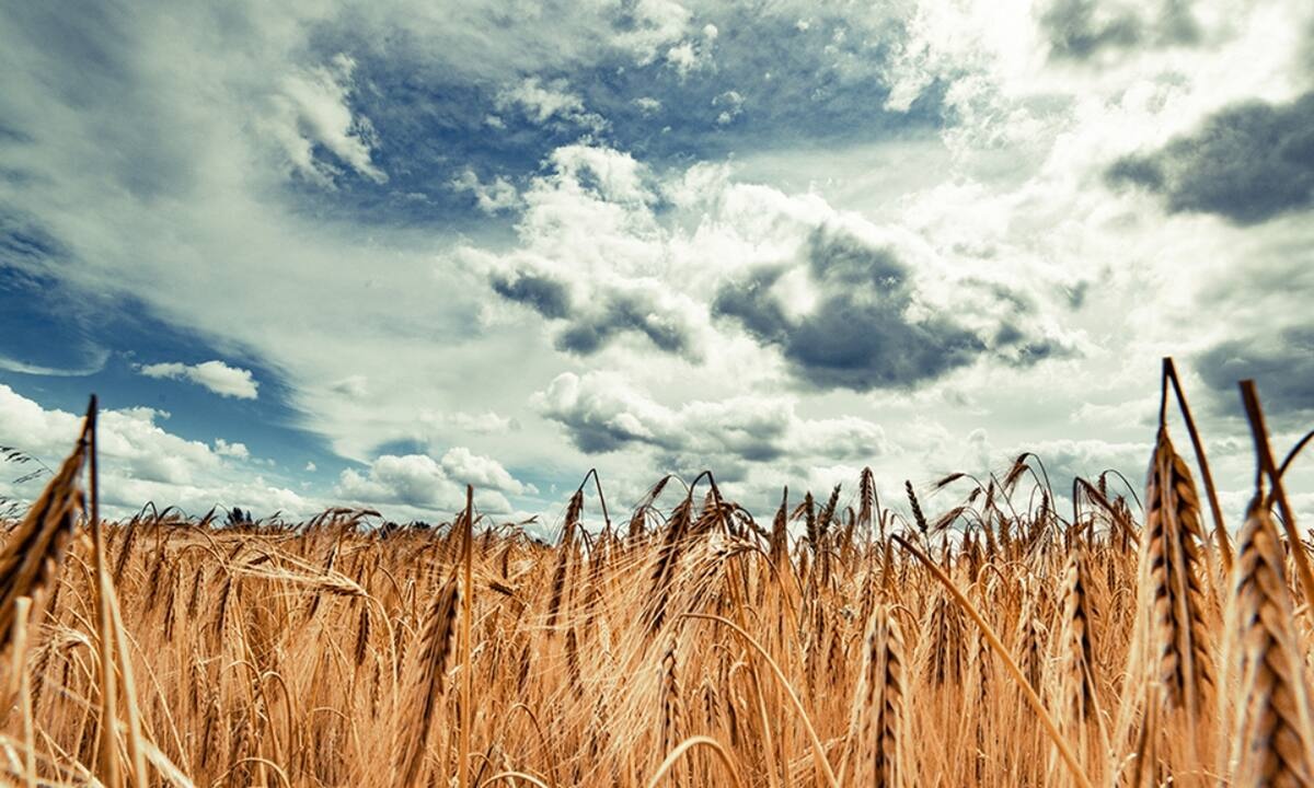 Διάβασε ΔΩΡΕΑΝ την προσωπική σου πρόβλεψη, για σήμερα 25/06/2021