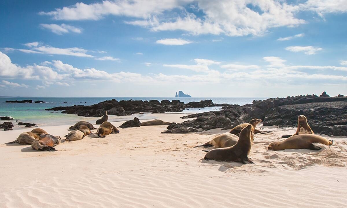 Διάβασε ΔΩΡΕΑΝ την προσωπική σου πρόβλεψη, για σήμερα 26/06/2021