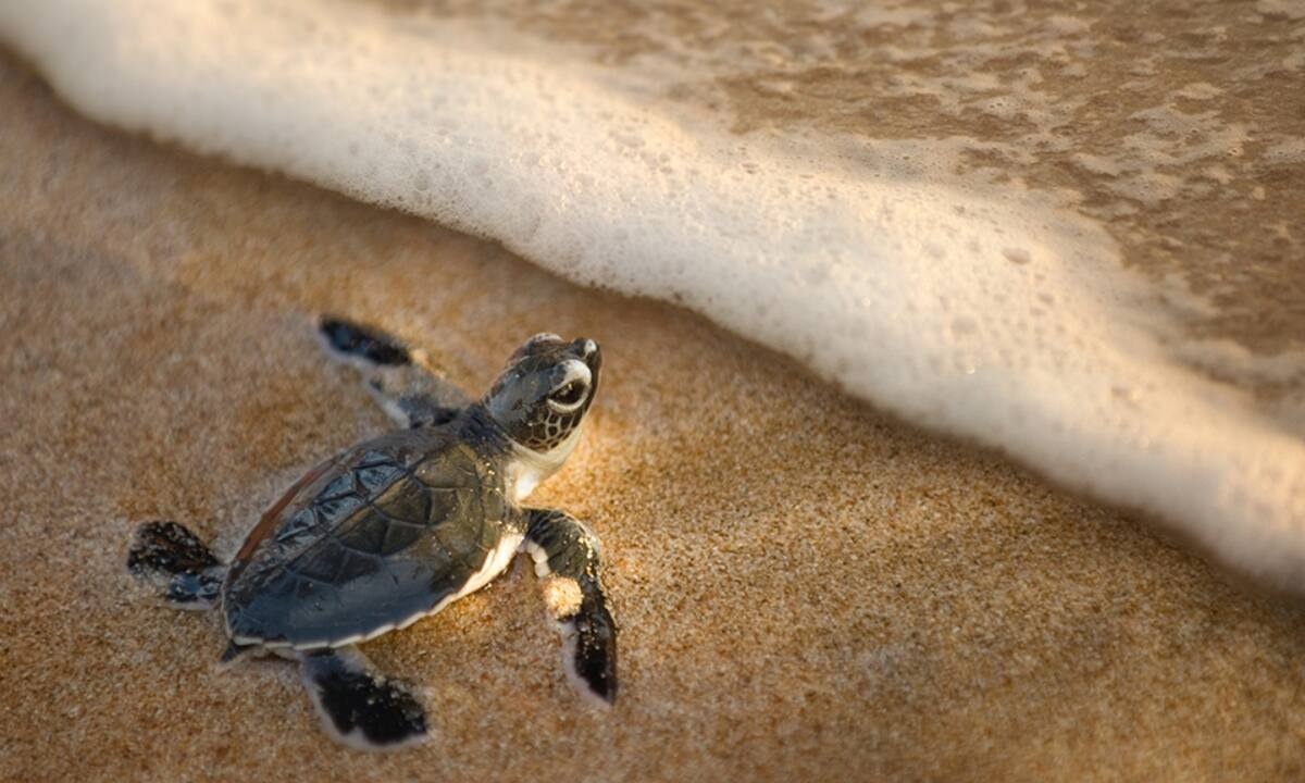 Διάβασε ΔΩΡΕΑΝ την προσωπική σου πρόβλεψη, για σήμερα 02/07/2021