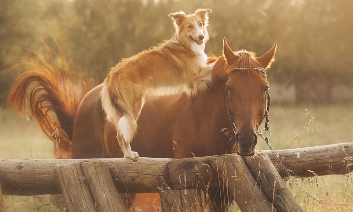 Διάβασε ΔΩΡΕΑΝ την προσωπική σου πρόβλεψη, για σήμερα 04/07/2021