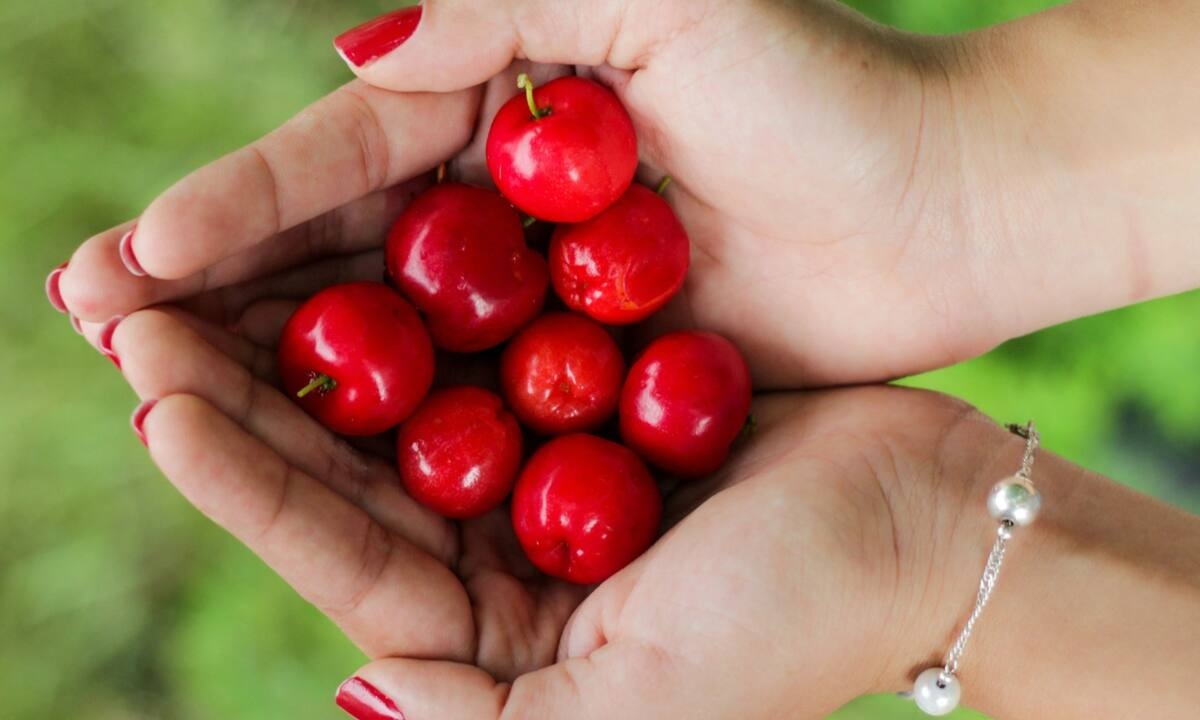 5 καλοκαιρινά φρούτα που βοηθούν στην απώλεια βάρους