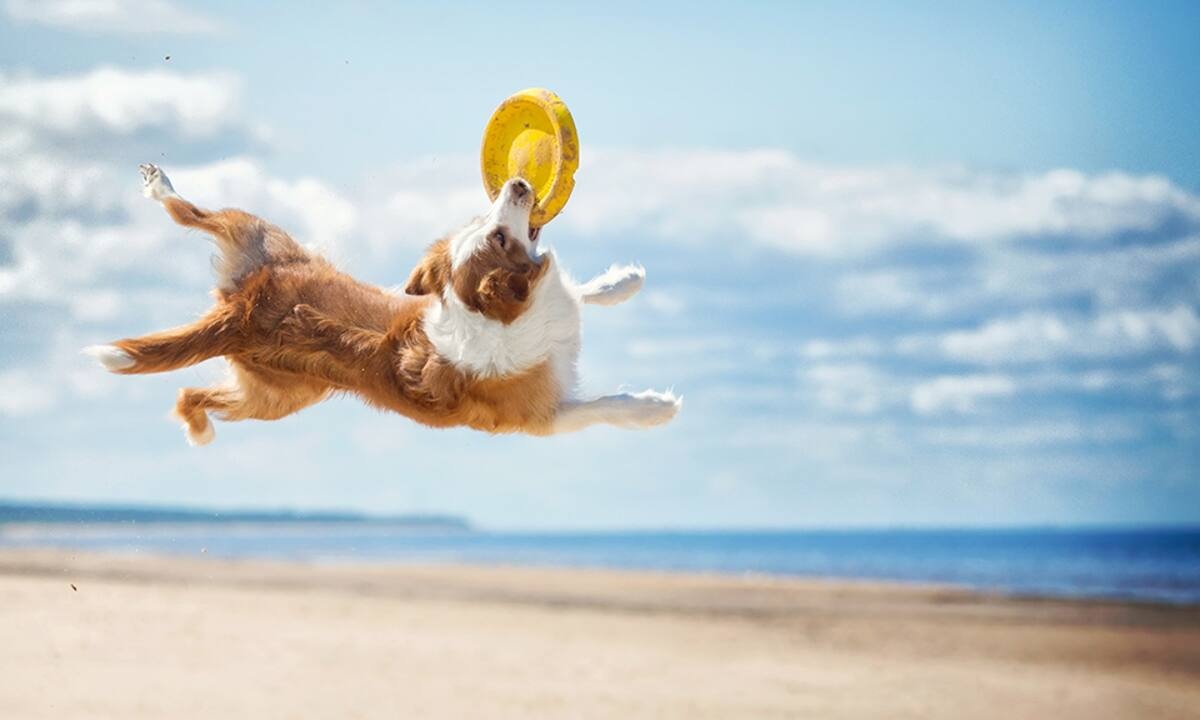 Διάβασε ΔΩΡΕΑΝ την προσωπική σου πρόβλεψη, για σήμερα 06/07/2021