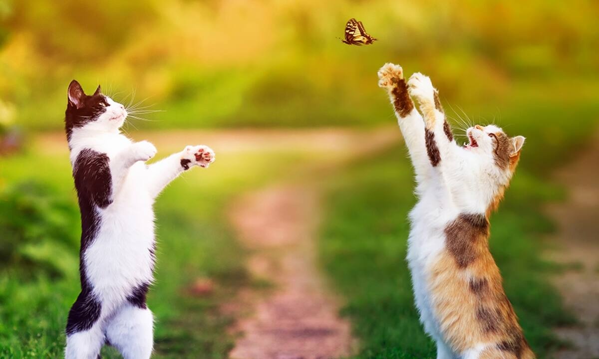 Διάβασε ΔΩΡΕΑΝ την προσωπική σου πρόβλεψη, για σήμερα 08/07/2021