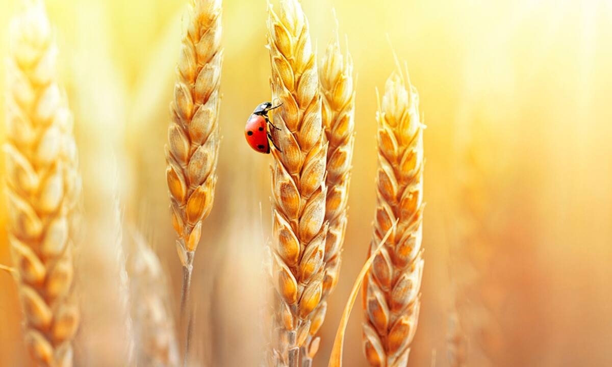 Διάβασε ΔΩΡΕΑΝ την προσωπική σου πρόβλεψη, για σήμερα 12/07/2021