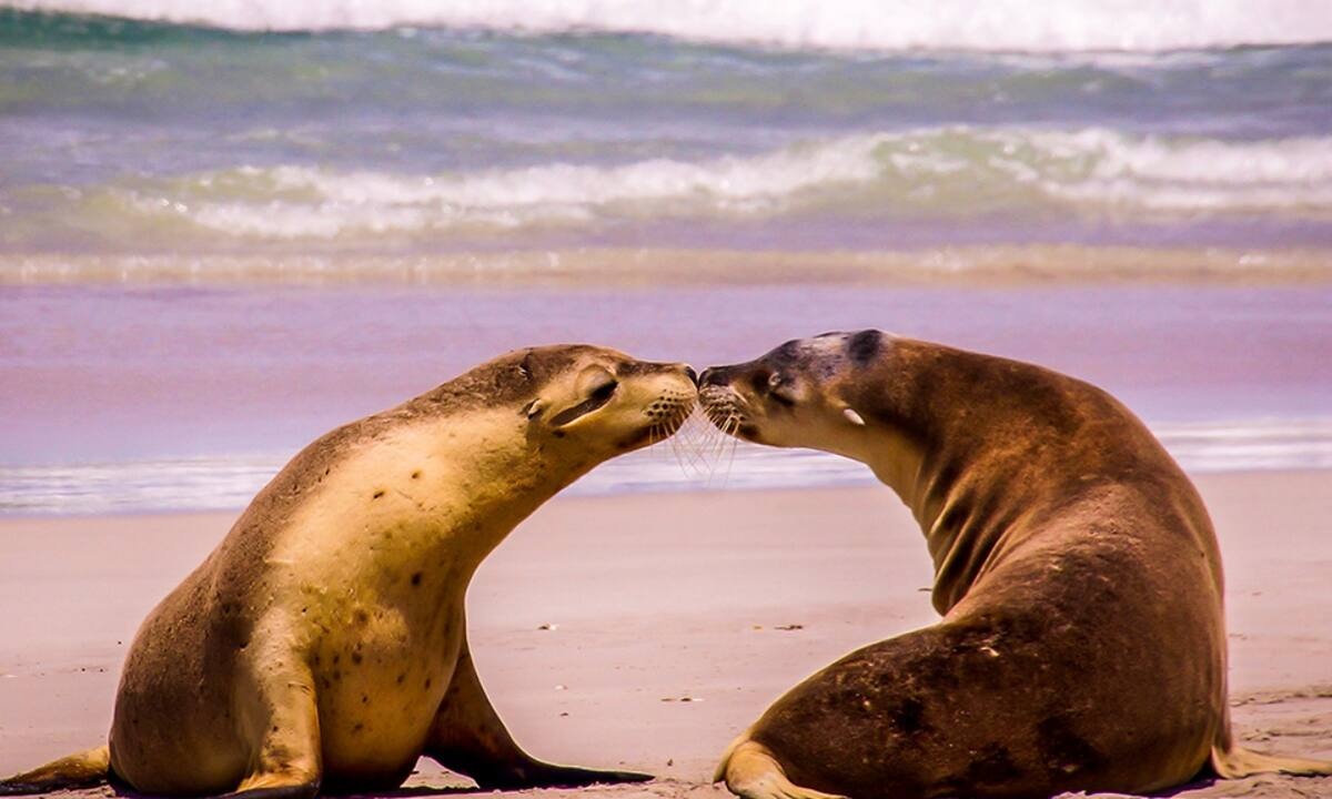 Διάβασε ΔΩΡΕΑΝ την προσωπική σου πρόβλεψη, για σήμερα 16/07/2021