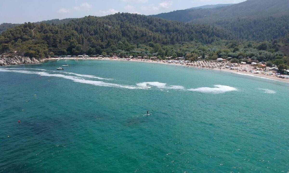 Χαλκιδική: Μετά τις μέδουσες, το φαινόμενο του ευτροφισμού απειλεί τώρα τις παραλίες (pics)