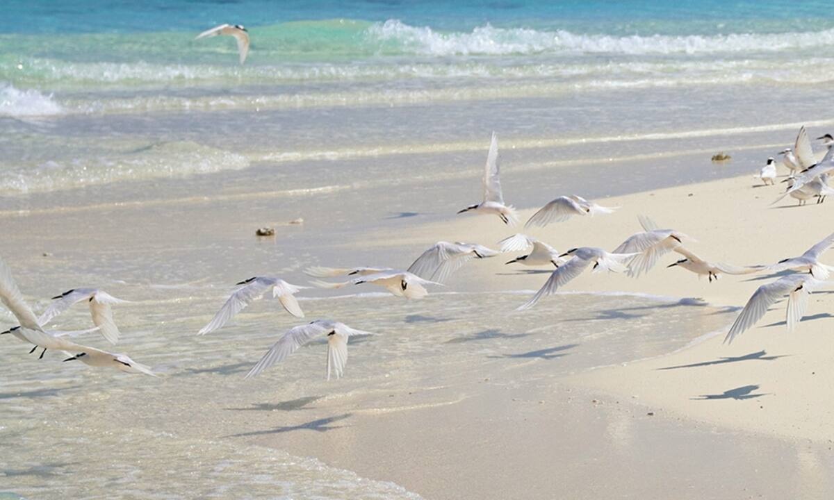 Διάβασε ΔΩΡΕΑΝ την προσωπική σου πρόβλεψη, για σήμερα 20/07/2021