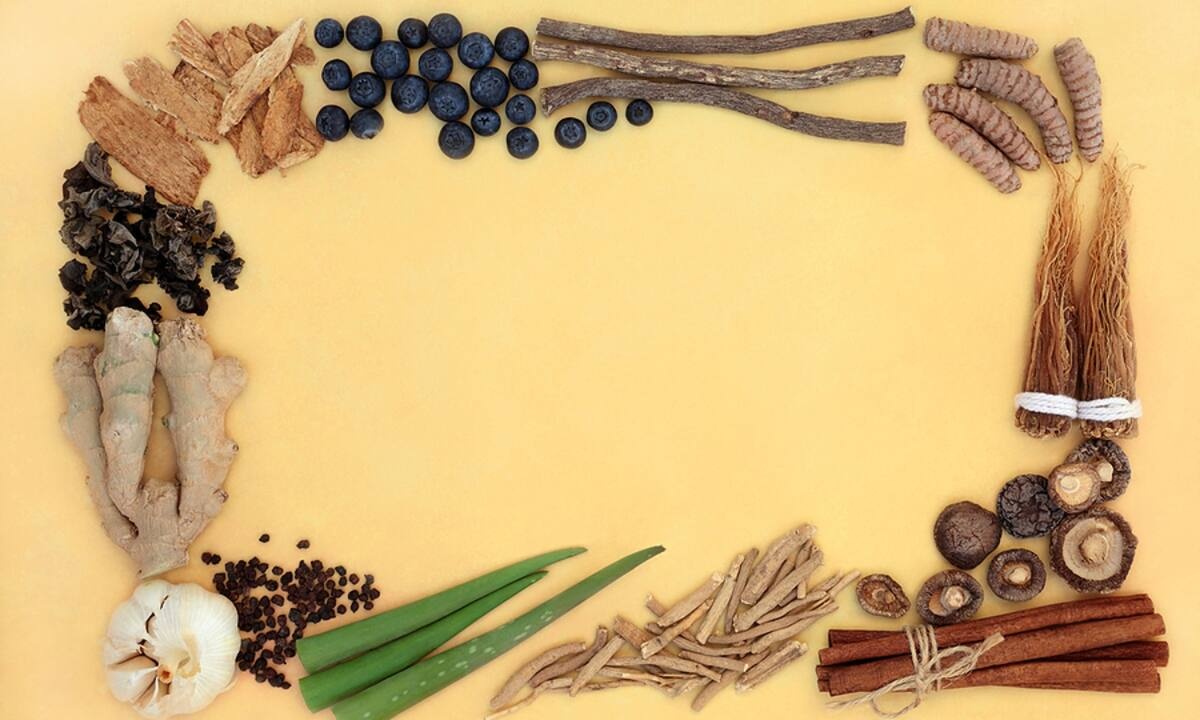 Προσαρμογόνα vs διεγερτικά: Όσα πρέπει να γνωρίζετε (video)