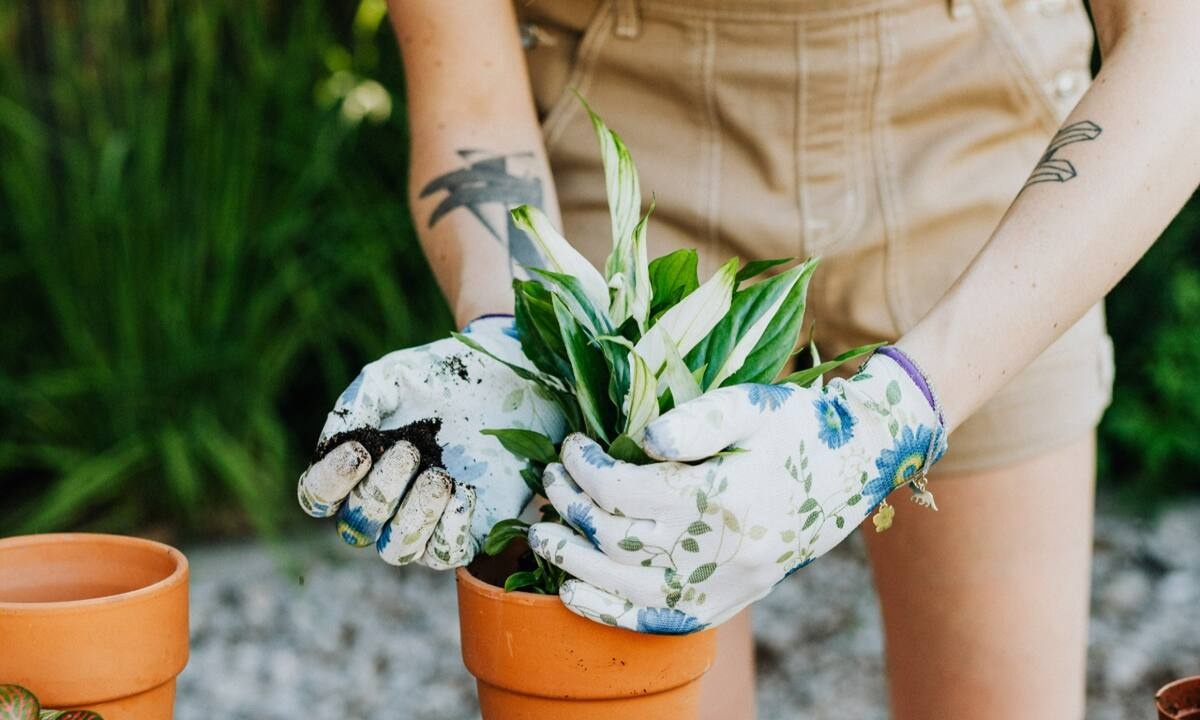4 λουλούδια για να φυτέψεις εύκολα στο μπαλκόνι σου και να πιάσουν αμέσως