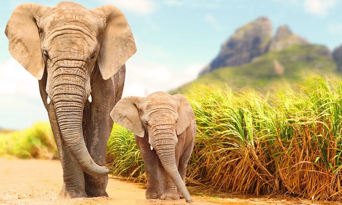 Διάβασε ΔΩΡΕΑΝ την προσωπική σου πρόβλεψη, για σήμερα 28/07/2021