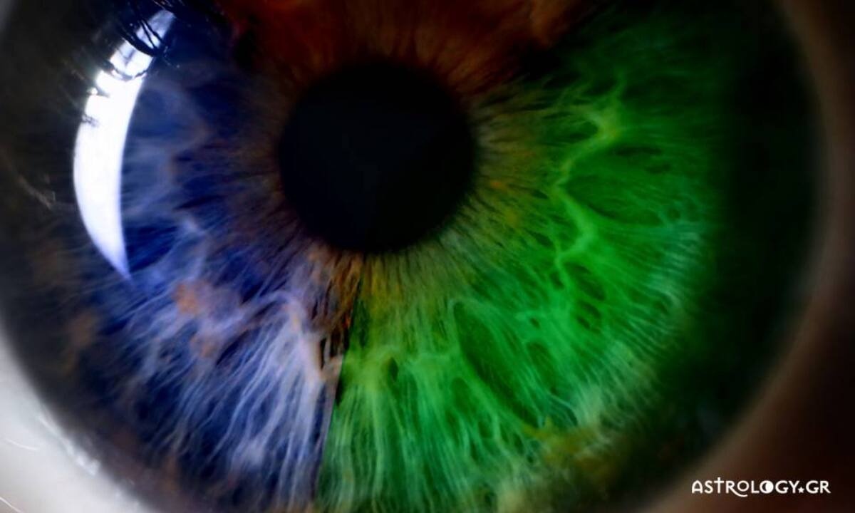 10 στοιχεία που σε κατατάσσουν στους πιο σπάνιους ανθρώπους