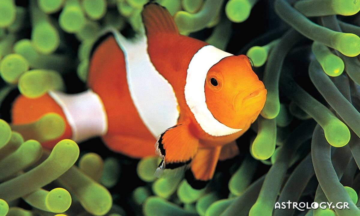 Διάβασε ΔΩΡΕΑΝ την προσωπική σου πρόβλεψη, για σήμερα 02/08/2021