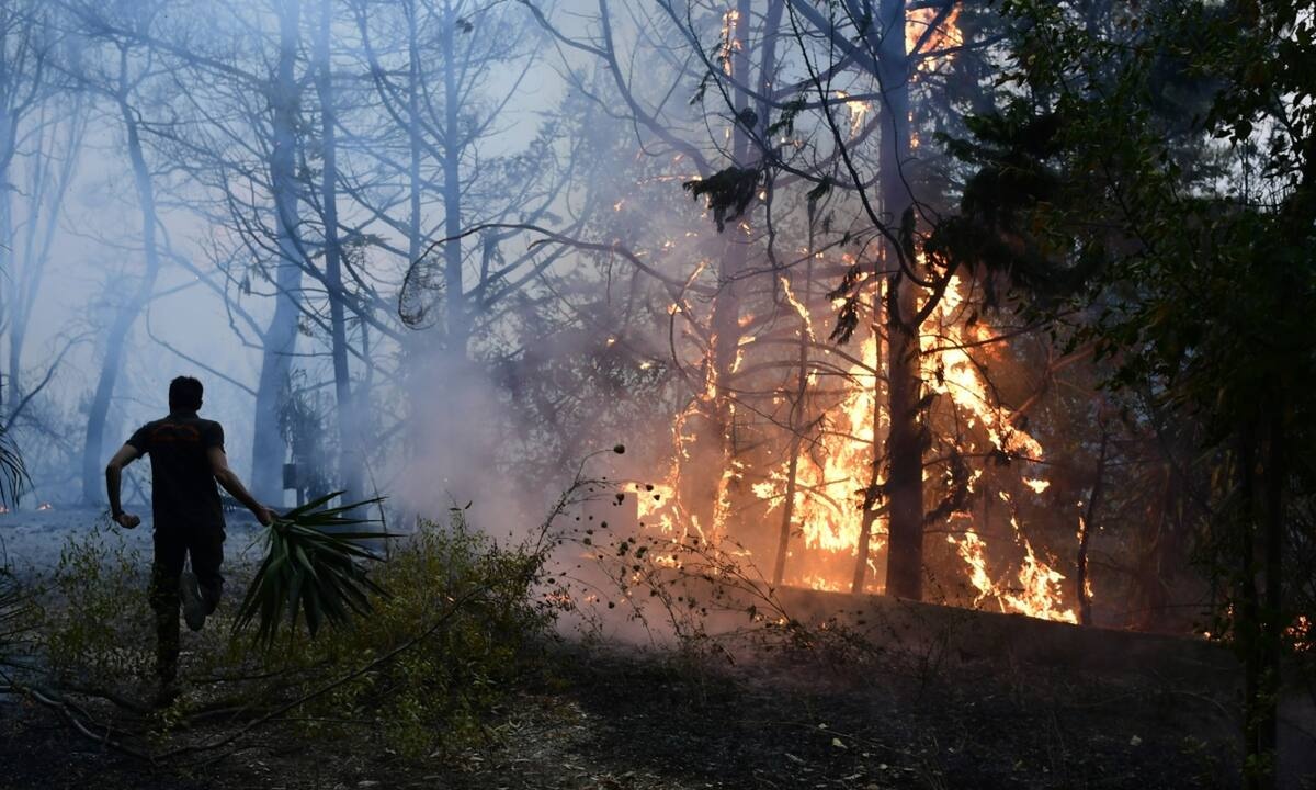 Φωτιά στη Βαρυμπόμπη: Τα μηνύματα των celebrities στο Instagram