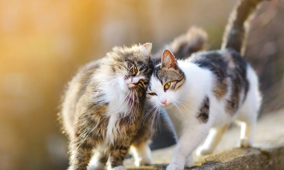 Διάβασε ΔΩΡΕΑΝ την προσωπική σου πρόβλεψη, για σήμερα 04/08/2021