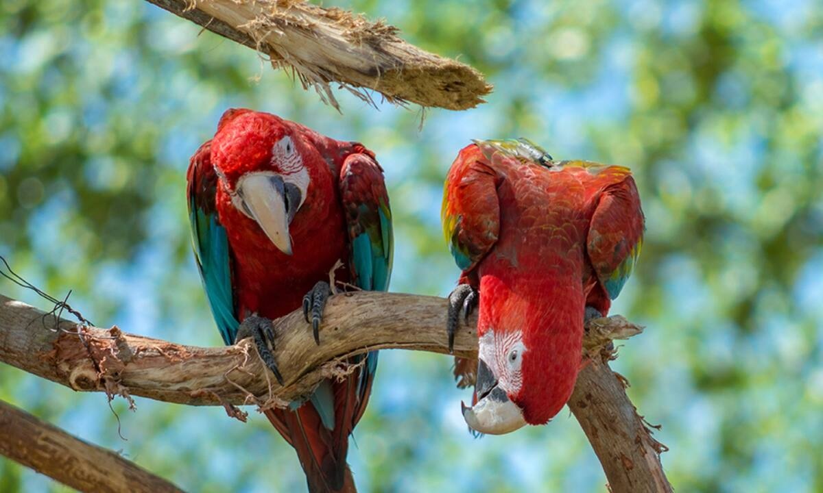 Διάβασε ΔΩΡΕΑΝ την προσωπική σου πρόβλεψη, για σήμερα 08/08/2021