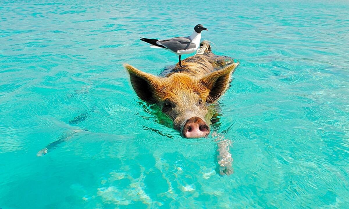 Διάβασε ΔΩΡΕΑΝ την προσωπική σου πρόβλεψη, για σήμερα 10/08/2021