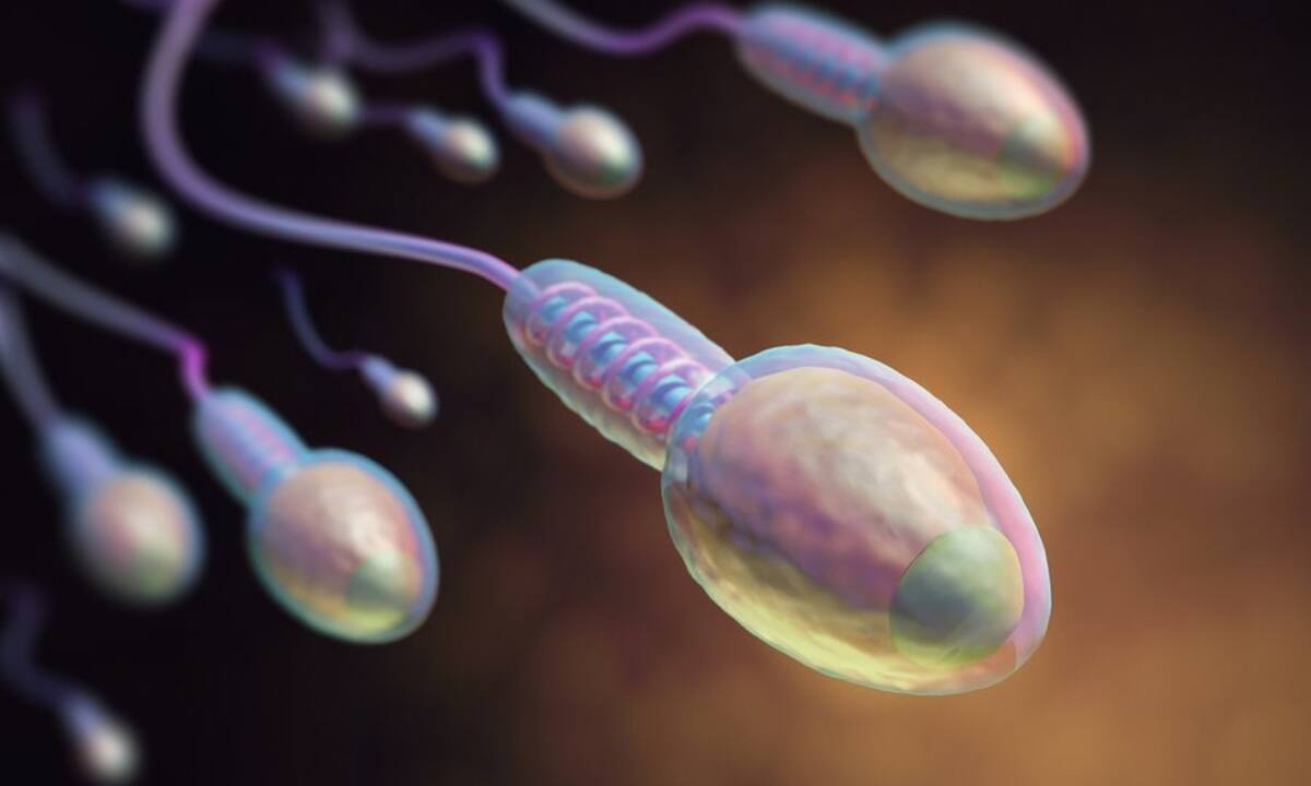 Αίμα στο σπέρμα: 8 πιθανές αιτίες (εικόνες)