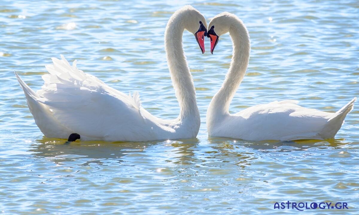 Διάβασε ΔΩΡΕΑΝ την προσωπική σου πρόβλεψη, για σήμερα 14/08/2021