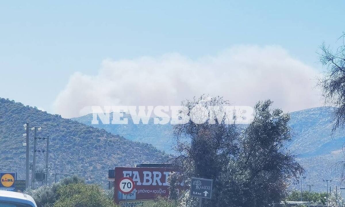 Φωτιά στην Κερατέα: Ανεξέλεγκτη η πυρκαγιά – Αγνοείται ηλικιωμένη γυναίκα