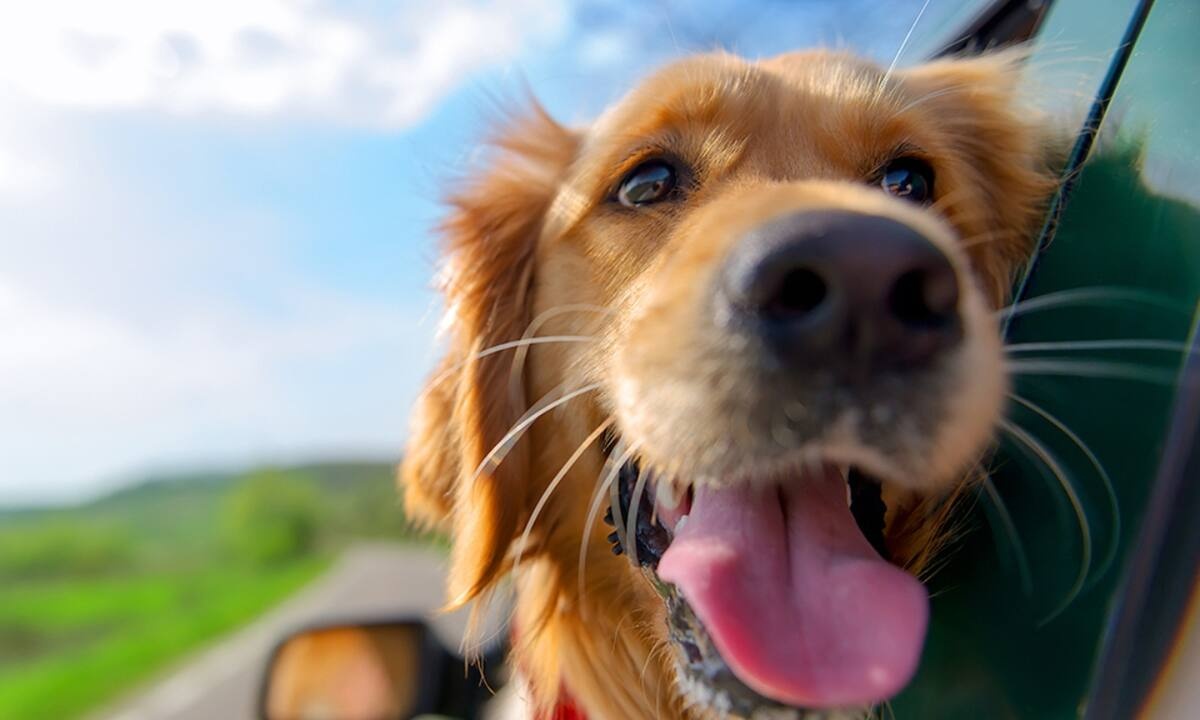 Διάβασε ΔΩΡΕΑΝ την προσωπική σου πρόβλεψη, για σήμερα 18/08/2021